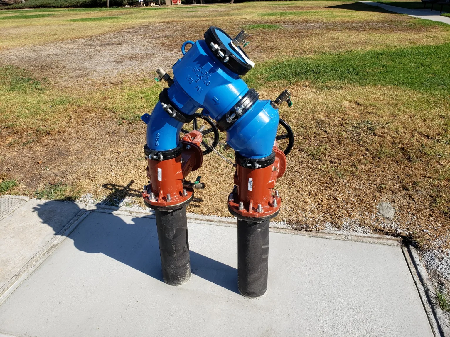 Completed backflow prevention assembly and concrete surface detail